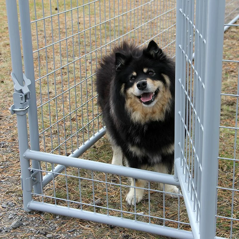 Jämpti Pro Mini, Sinkitty + Maalattu Koiratarha, 6 X 4 M (1 + 9, Korkeus 115 Cm) - Image 6