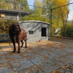 Jämpti Lämpöeristetty Koirankoppi - Harmaa -lemmikki tallentaa jampti pro medi ruskea koirankoppi harmaa asiakaskuva 1