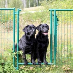 Jämpti Pro Mini Sinkitty + Maalattu Koiratarha 6 X 6 M (1 + 11, Korkeus 115 Cm) -lemmikki tallentaa jampti pro mini vihrea asiakaskuva 1