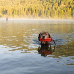 Chuckit! Kelluva Vesilelu Chuckit Amphibious Bumper -lemmikki tallentaa kelluva vesilelu chuckit amphibious bumper s m hlchuc18300 hlchuc183101 3