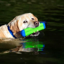 Chuckit! Kelluva Vesilelu Chuckit Amphibious Bumper -lemmikki tallentaa kelluva vesilelu chuckit amphibious bumper s m hlchuc18300 hlchuc183101 4