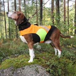 Kivalo Koiran Huomioliivi Kajo -lemmikki tallentaa kivalo kaamos3 web