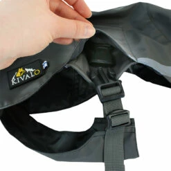 Kivalo, Koiran Sadetakki Niva -lemmikki tallentaa kivalo koiran sadetakki niva kallio ki1646 ki1653 6