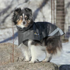 Kivalo, Koiran Sadetakki Niva -lemmikki tallentaa kivalo niva 45cm kallio web