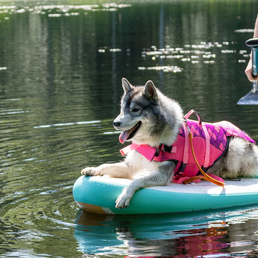 Boogie Koiran Pelastusliivi Merenneito - Eri Kokoja 4 Boogie Koiran Pelastusliivi Merenneito - Eri Kokoja - Image 4