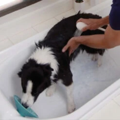 Nuolemiskuppi LickiMat Splash, Imukuppikiinnitys 9 Nuolemiskuppi LickiMat Splash, Imukuppikiinnitys -lemmikki tallentaa nuolemiskuppi lickimat splash im6455322 5