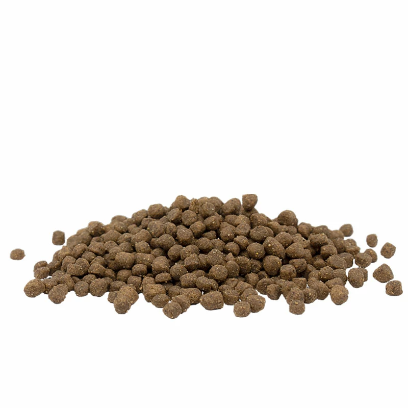 Opti Life Cat, Kitten, Viljaton Kana - Valitse Koko 2 Opti Life Cat, Kitten, Viljaton Kana - Valitse Koko - Image 2