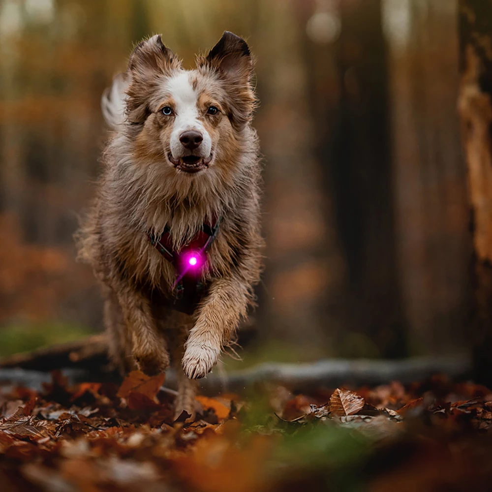 Orbiloc Dual Turvavalo Special Edition Pinkki & Turkoosi 3 Orbiloc Dual Turvavalo Special Edition Pinkki & Turkoosi - Image 3