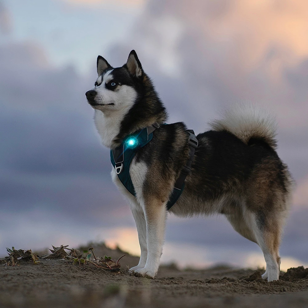 Orbiloc Dual Turvavalo Special Edition Pinkki & Turkoosi 2 Orbiloc Dual Turvavalo Special Edition Pinkki & Turkoosi - Image 2