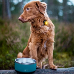 Orbiloc Dual -Turvavalo, Keltainen -lemmikki tallentaa orbiloc dual turvavalo keltainen pfc05500 3