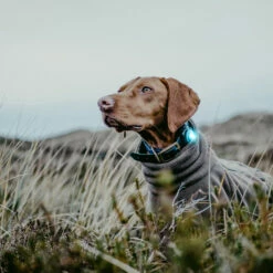 Orbiloc Dual -Turvavalo, Turkoosi 11 Orbiloc Dual -Turvavalo, Turkoosi -lemmikki tallentaa orbiloc dual turvavalo turkoosi pfc05513 5