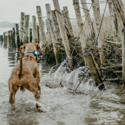 Orbiloc Dual -Turvavalo, Turkoosi 12 Orbiloc Dual -Turvavalo, Turkoosi -lemmikki tallentaa orbiloc dual turvavalo turkoosi pfc05513 6