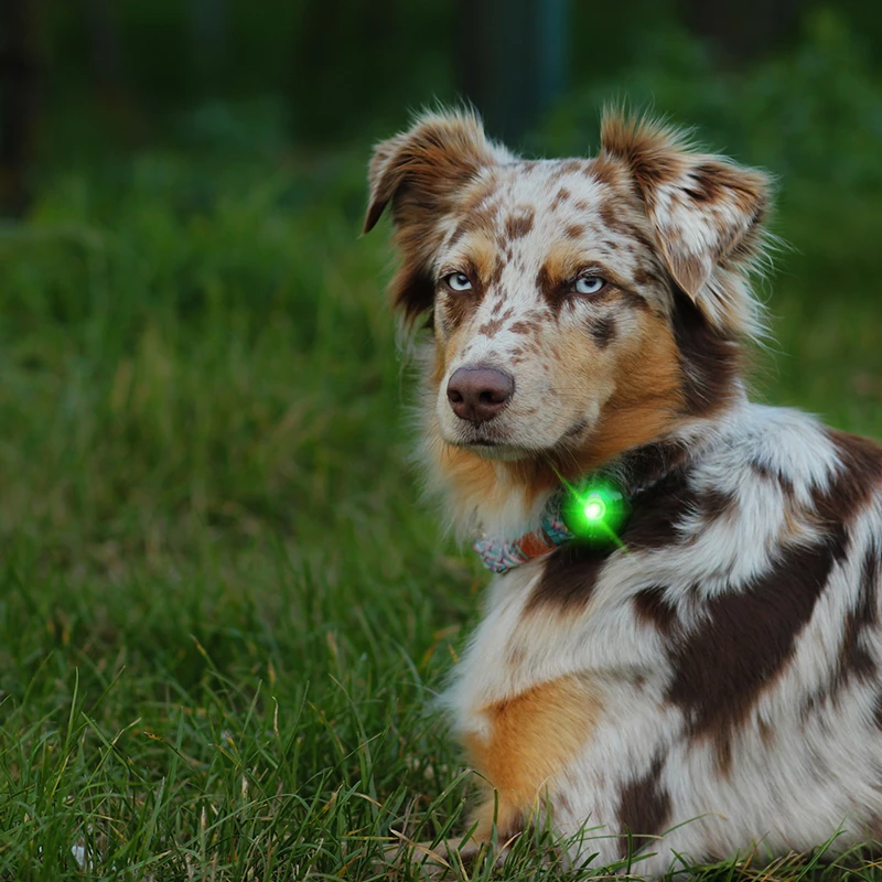 Orbiloc Dual -Turvavalo, Vihreä 4 Orbiloc Dual -Turvavalo, Vihreä - Image 4