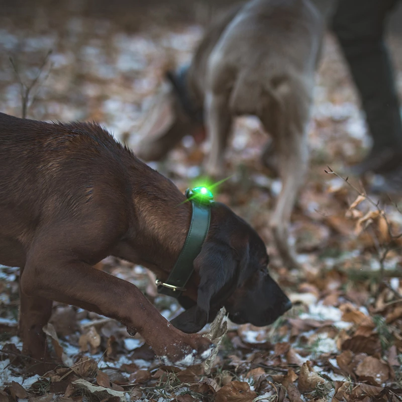 Orbiloc Dual -Turvavalo, Vihreä 7 Orbiloc Dual -Turvavalo, Vihreä - Image 7