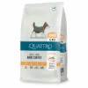 Quattro Dog, Junior All Breed