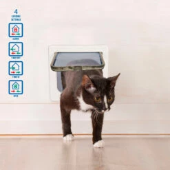 Duvo+ Kissanluukku + Tunneli -lemmikki tallentaa p3526