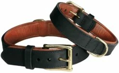 Pet First Fatty Leather Rasvanahkapanta Vuorella