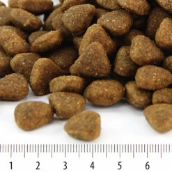 Pentu Rokka, 3 Kg -lemmikki tallentaa pentu rokka nappulat 4