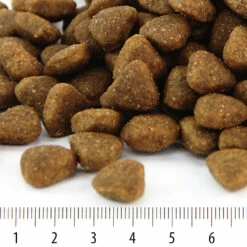 Pentu Rokka, 7 Kg 3 Pentu Rokka, 7 Kg -lemmikki tallentaa pentu rokka nappulat 1