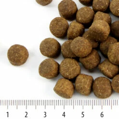 Perus Rokka, 15 Kg -lemmikki tallentaa perus rokka nappulat 4