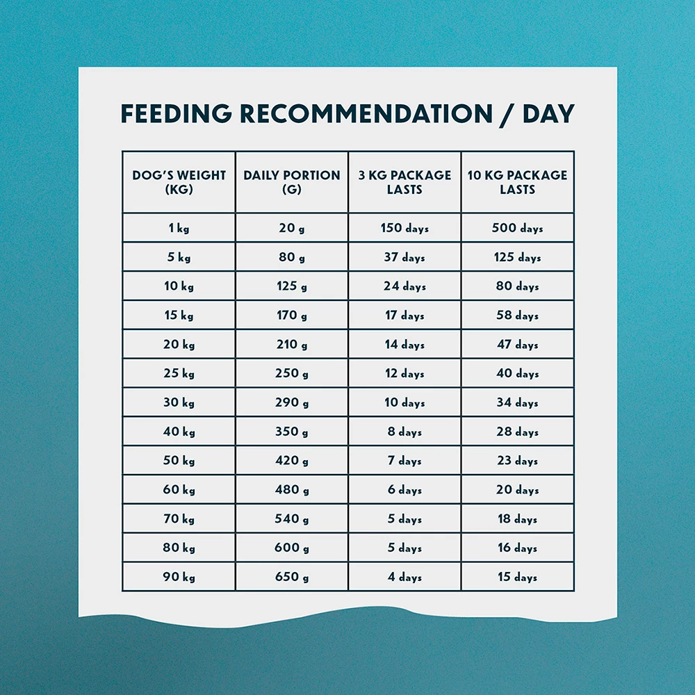 PrimaDog Adult, Kana & Peruna 3 PrimaDog Adult, Kana & Peruna - Image 3