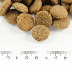 ProBooster Adult Maxi Chicken 3 Kg -lemmikki tallentaa probooster adult maxi nappulat