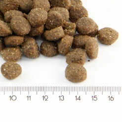 ProBooster Adult Mini & Medium 2 X 12 Kg