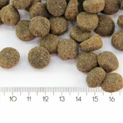 ProBooster Adult, Sensitive Lamb, 12 Kg -lemmikki tallentaa probooster adult sensitive lamb nappulat 1