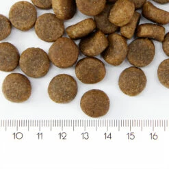 ProBooster Adult Sensitive Salmon, 12 Kg -lemmikki tallentaa probooster adult sensitive salmon nappulat 2