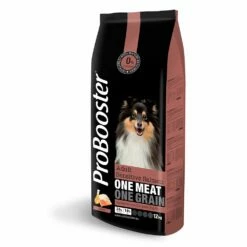 ProBooster Adult Sensitive Salmon 2 Kg