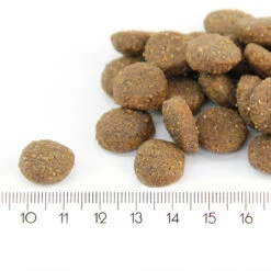 LAVA 12 X 12 Kg ProBooster Puppy Maxi Chicken -lemmikki tallentaa probooster puppy maxi nappulat 1