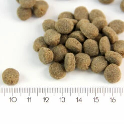 ProBooster Puppy, Sensitive Lamb, 12 Kg -lemmikki tallentaa probooster puppy sensitive lamb nappulat 1