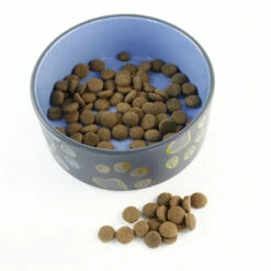 ProBooster Adult, Maxi Chicken, 12 Kg -lemmikki tallentaa probooster adult maxi