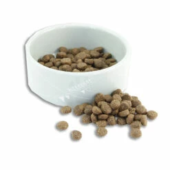 ProBooster Adult Mini & Medium Chicken 3 Kg -lemmikki tallentaa probooster adult mini 2