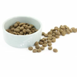 ProBooster Adult Light & Senior Chicken 2 X 15 Kg 6 ProBooster Adult Light & Senior Chicken 2 X 15 Kg -lemmikki tallentaa probooster senior light 1