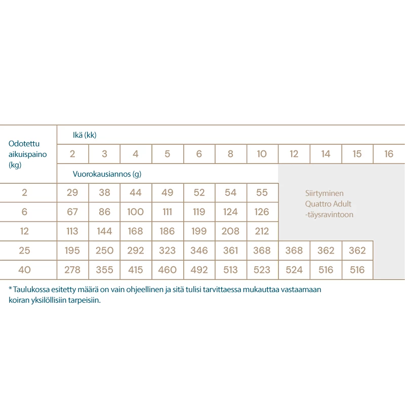 Quattro Dog, Junior All Breed 2 Quattro Dog, Junior All Breed - Image 2