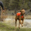 RuffWear Huomiotakki Track Jacket - Eri Kokoja