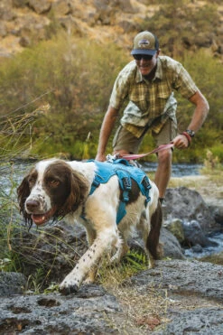 RuffWear Valjaat Web Master - Eri Kokoja -lemmikki tallentaa r u ruffwear valjaat web master1 60