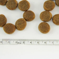 Saaga Maxi 2 X 10 Kg -lemmikki tallentaa saaga maxi nappula 4