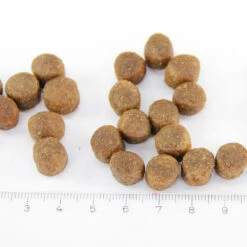 Saaga Mini & Medi 2 X 10 Kg -lemmikki tallentaa saaga mini medi nappula 3