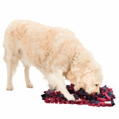 Trixie Dog Activity Aktivointimatto Lemmikille