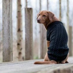 Trixie Kenton Neulepusero -lemmikki tallentaa trixie kenton neulepusero tr680000 tr680050 10