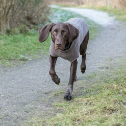 Trixie Kenton Neulepusero -lemmikki tallentaa trixie kenton neulepusero tr680000 tr680050 13