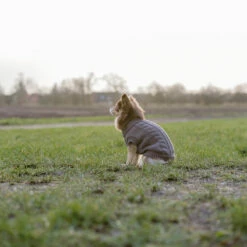 Trixie Kenton Neulepusero -lemmikki tallentaa trixie kenton neulepusero tr680000 tr680050 15