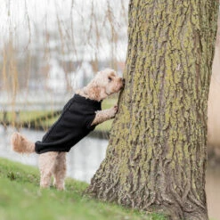 Trixie Kenton Neulepusero -lemmikki tallentaa trixie kenton neulepusero tr680000 tr680050 7