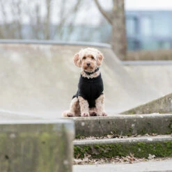 Trixie Kenton Neulepusero -lemmikki tallentaa trixie kenton neulepusero tr680000 tr680050 8