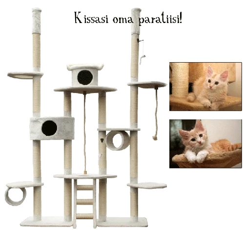 Kiipeilypuu, Lumilinna 2 Kiipeilypuu, Lumilinna - Image 2