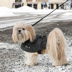 Kivalo, Koiran Sadetakki Niva -lemmikki tallentaa vipstore P1550 10 1