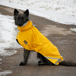 Kivalo, Koiran Sadetakki Niva -lemmikki tallentaa vipstore P1550 12 1