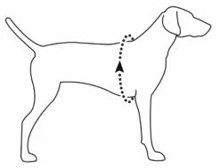 RuffWear Valjaat Web Master - Eri Kokoja -lemmikki tallentaa vipstore P3136 2 1